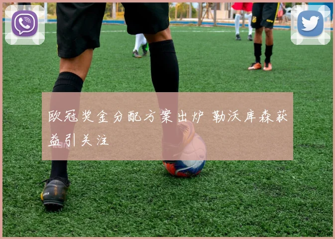 欧冠奖金分配方案出炉 勒沃库森获益引关注