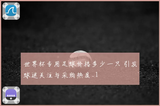 世界杯专用足球价格多少一只 引发球迷关注与采购热度_1
