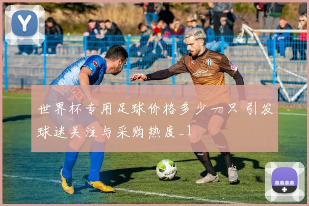 世界杯专用足球价格多少一只 引发球迷关注与采购热度_1