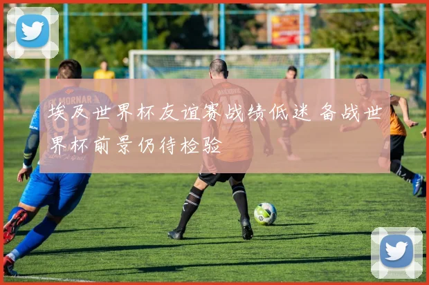 埃及世界杯友谊赛战绩低迷 备战世界杯前景仍待检验