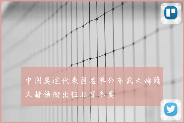中国奥运代表团名单公布武大靖隋文静领衔出征北京冬奥