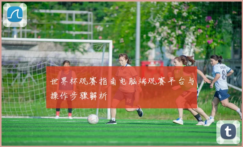 世界杯观赛指南电脑端观赛平台与操作步骤解析