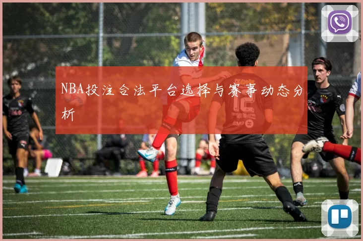 NBA投注合法平台选择与赛事动态分析