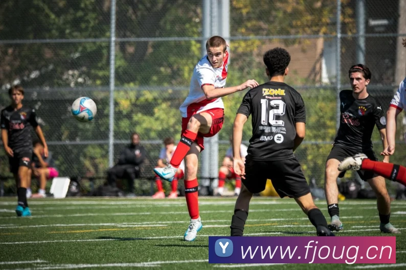 App Interface Preview